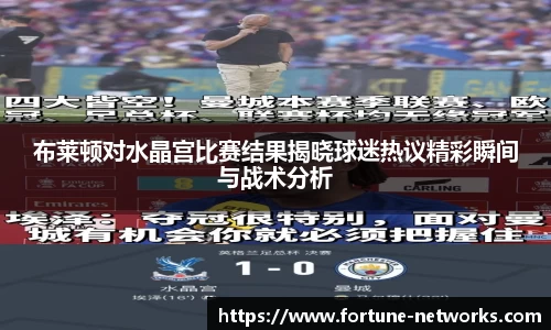 布莱顿对水晶宫比赛结果揭晓球迷热议精彩瞬间与战术分析